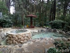 -金方森林温泉