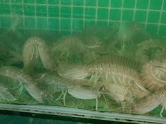 -琼大师东方烤乳猪(亚特兰蒂斯店)