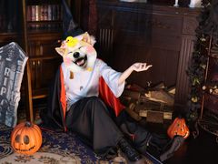 -马猴烧酒二次元cosplay换装写真自拍体验馆