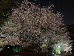 -石湖景区