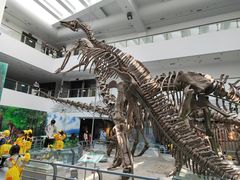 -中国地质大学逸夫博物馆
