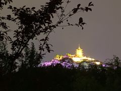 -南通鹏欣花园国宾酒店