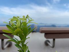 -天悦阁海景酒廊