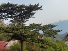 -圣莲山风景区