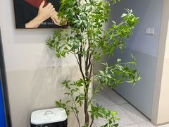 -天真蓝照相馆(五角场百联又一城店)