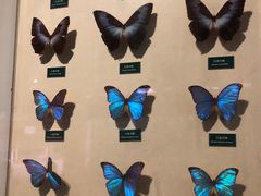 -陕西自然博物馆