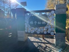 -莫尔道嘎国家森林公园