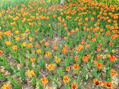 -长春公园(普阳街道)