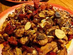 -柴窝堡22号辣子鸡·传承新疆菜