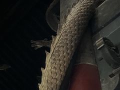 -报恩寺(平武县)