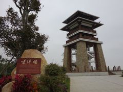 景点-大湾区中央湿地公园