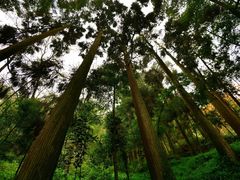 -青城山