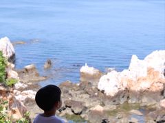 -养马岛旅游度假区