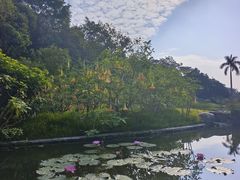 -云溪植物园