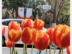 -浙江大学医学院附属第一医院(庆春院区)