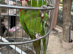 -南宫五洲植物乐园