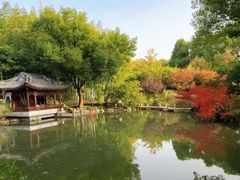 -汇龙潭