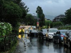 -龙坞茶村