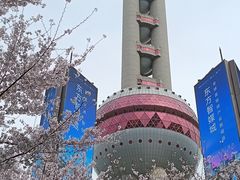 -东方明珠广播电视塔