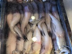 -吉香碳烤生蚝(仙霞路店)