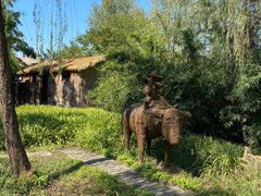 -溱湖国家湿地公园