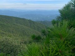 -罗田薄刀峰风景区
