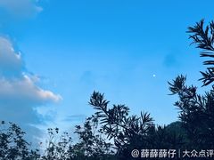 -水濂山森林公园