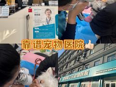 -美联众合动物医院·24h京西诊疗中心