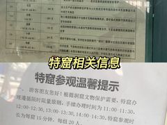 -敦煌莫高窟