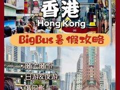 -Big Bus Tours 敞篷观光巴士