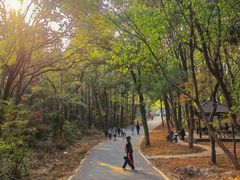-青龙山国家森林公园