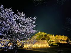 -紫阳古街