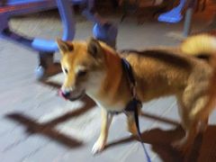 -东方之珠洗浴休闲广场(南开店)