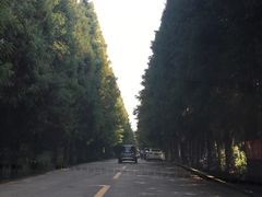 -山王坪喀斯特国家生态公园