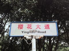 -武汉大学-樱园