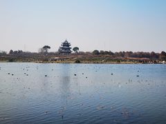 -上海海湾国家森林公园