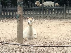 -南昌动物园