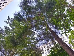 -深圳市人才园(深南大道店)