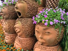 -东芭乐园