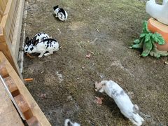-常州淹城野生动物世界