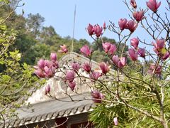 -肇庆古城墙