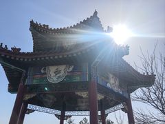 -白水寺森林公园