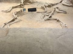 -洛阳周王城天子驾六博物馆