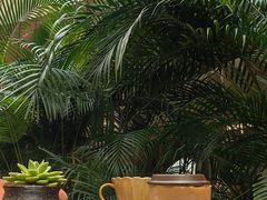 -北京望京凯悦酒店The Lounge大堂酒廊