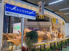 -正佳自然科学博物馆