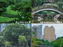 -四海公园(南山区)