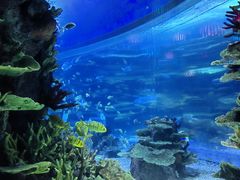 -欢乐海岸海洋奇梦馆