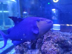 -荆州中山公园动物园