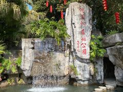 -广州市流溪河国家森林公园