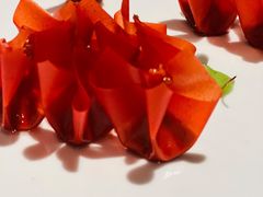 山楂鹅肝-柿合缘新京菜(国金中心商场店)